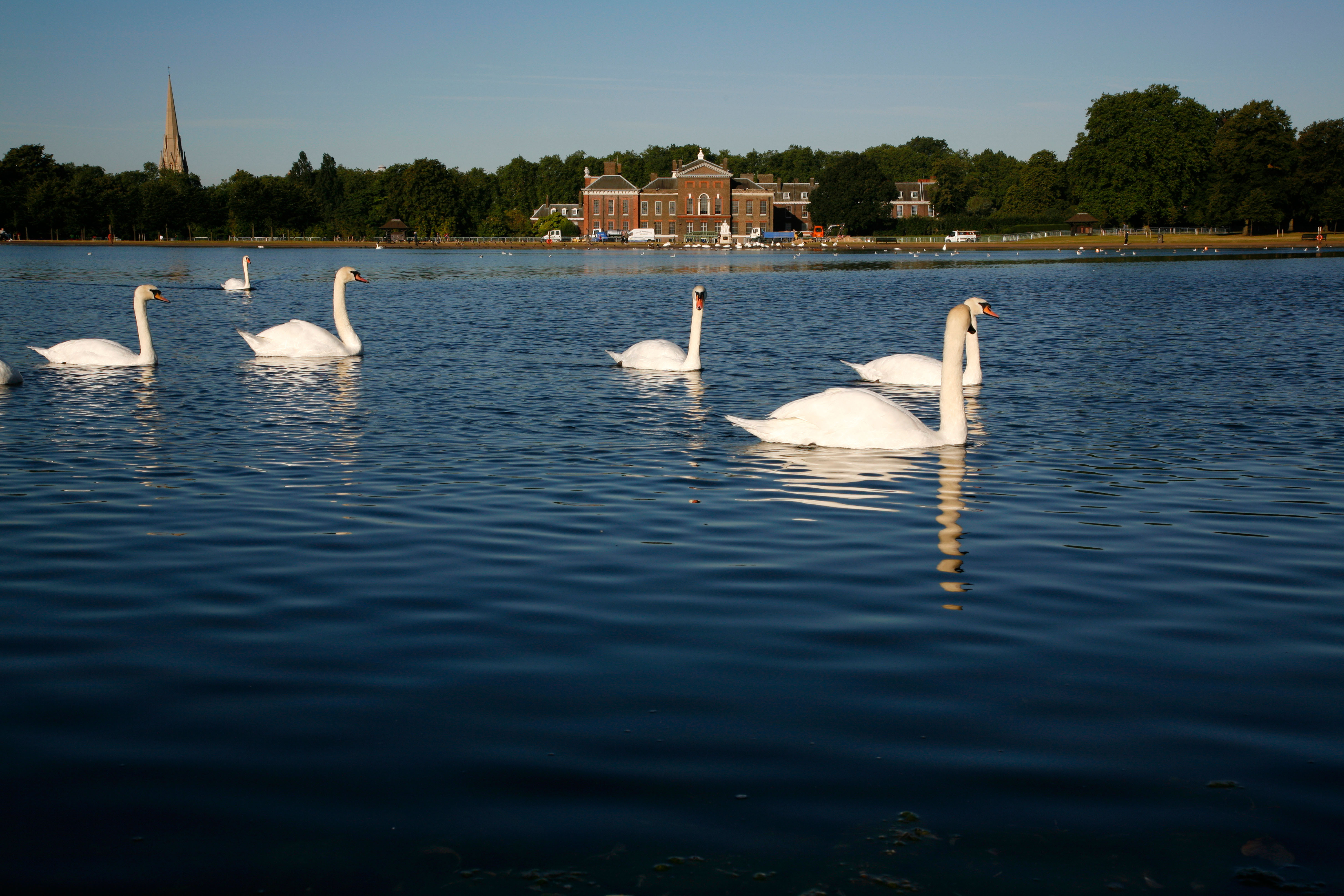 The pond where the woman's dead body was found is 15ft deep at some points